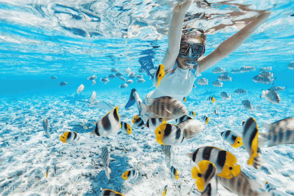 snorkling trip nusa penida amazing underwater