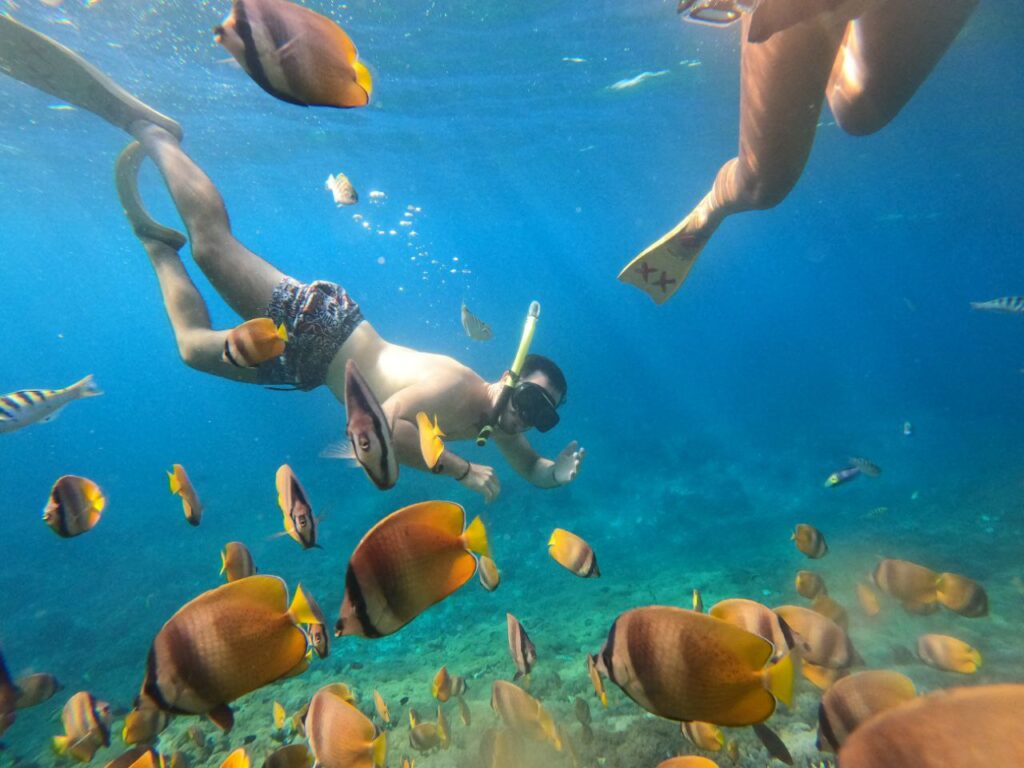 Traveler swimming above colorful coral at Blue Lagoon Bali snorkeling tour