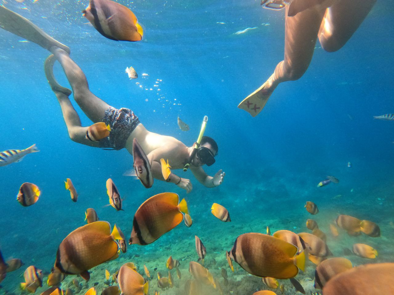 Traveler swimming above colorful coral at Blue Lagoon Bali snorkeling tour