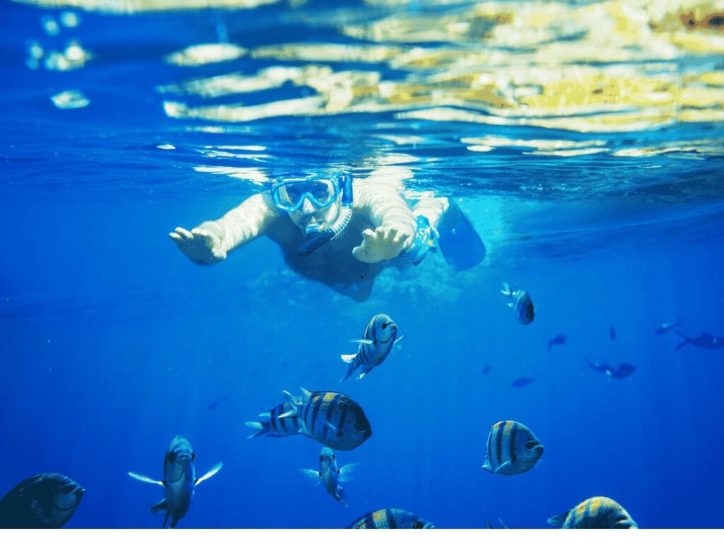 Colorful coral reef and tropical fish at Blue Lagoon Bali during snorkeling tour