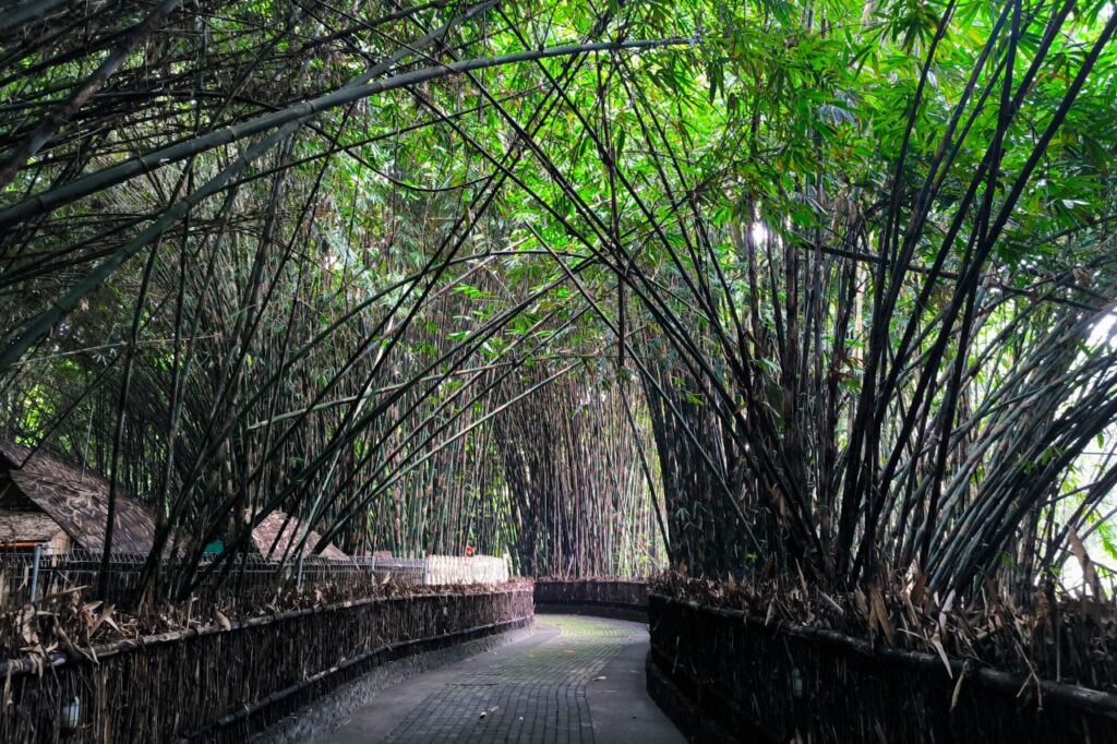 Penglipuran Village Bali tour with Ubud private driver