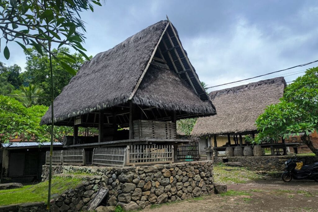 Tenganan Village traditional houses viewed during a Bali tour driver service trip