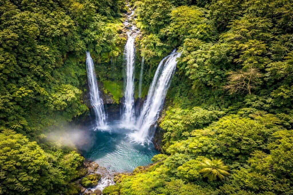 sekumpul waterfall tour with private driver