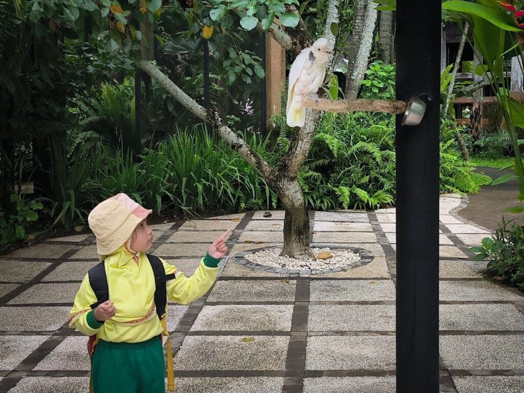 bali driver and car bali bird park ubud bird interaction