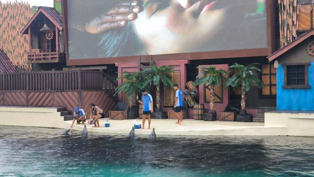 Dolphin show at Bali Safari and Marine Park marine zone
