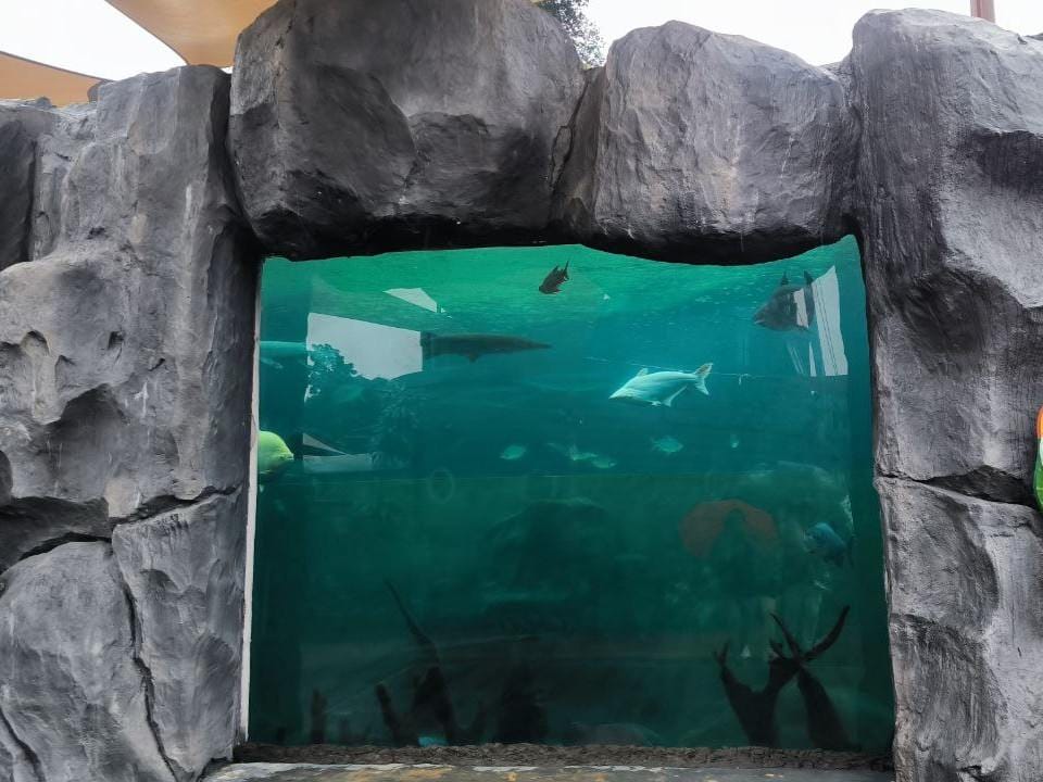 Freshwater aquarium inside Bali Safari and Marine Park