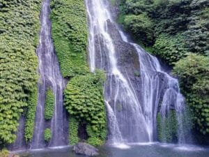 banyumala waterfall bali jungle