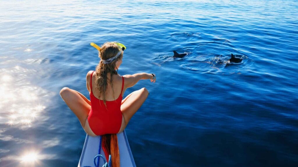 lovina beach dolphin watching tour with traditional jukung boat