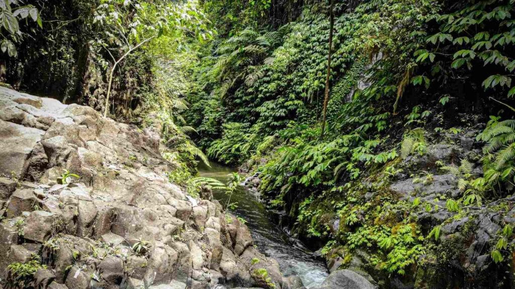 sumampan waterfall ubud bali hidden waterfall with stone carvings