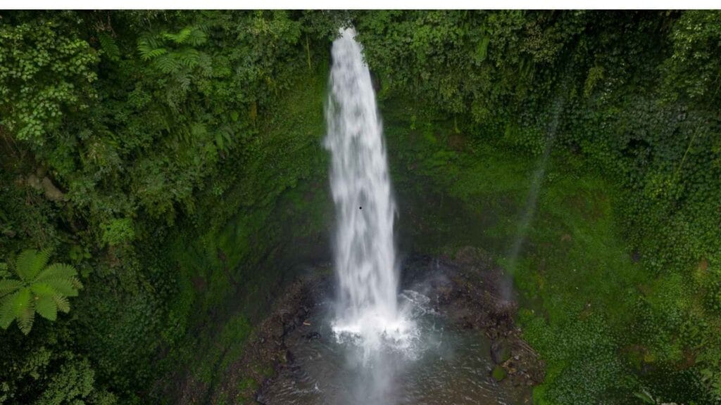 how to get to Nungnung Waterfall scenic view with tall waterfall and lush green forest Bali"