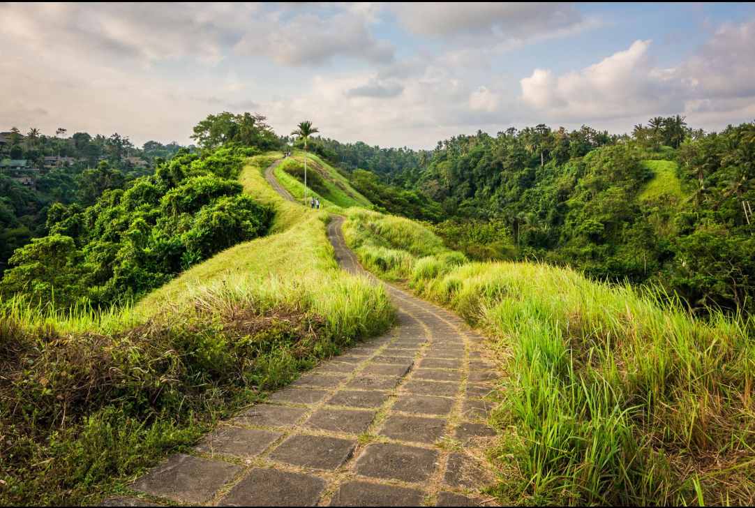 Best time to visit Campuhan Ridge Walk Ubud in the morning