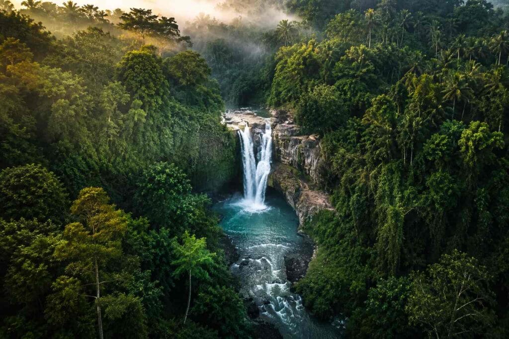 Epic Bali drone spots featuring jungle waterfall and cinematic aerial rainforest view