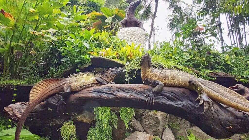 Bali Reptile Park entrance with tropical garden and visitors exploring wildlife attraction
