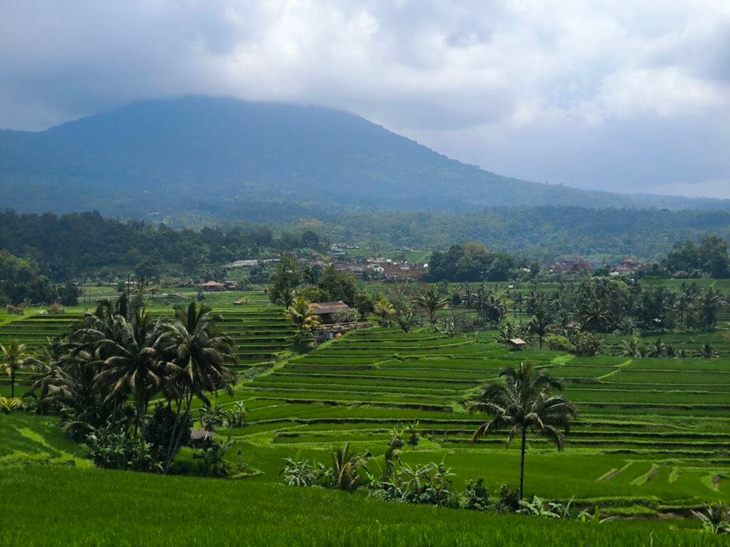 Jatiluwih and Ulun Danu Tour featuring the scenic Jatiluwih Rice Terraces in Bali